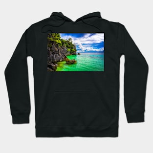 PARADISE COAST Hoodie